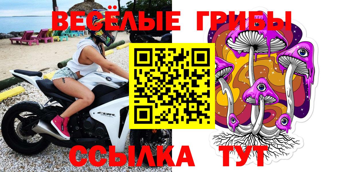 Псилоцибиновые грибы мухоморы  Вход с VPN  Гуково 